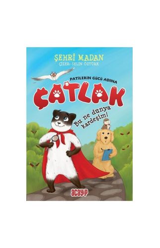 Çatlak / Bu Ne Dünya Kardeşim