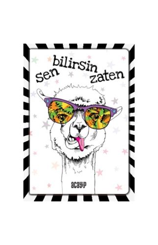 Havalı Panda Defter - Çılgın Defterler -