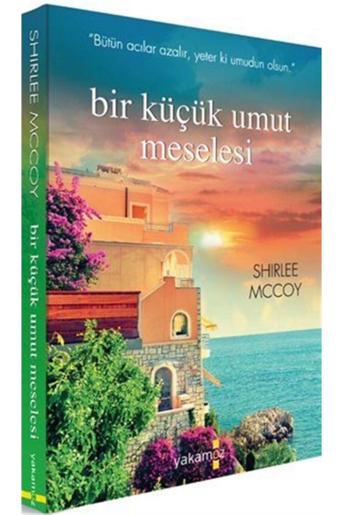 Bir Küçük Umut Meselesi Bir Küçük Umut Meselesi